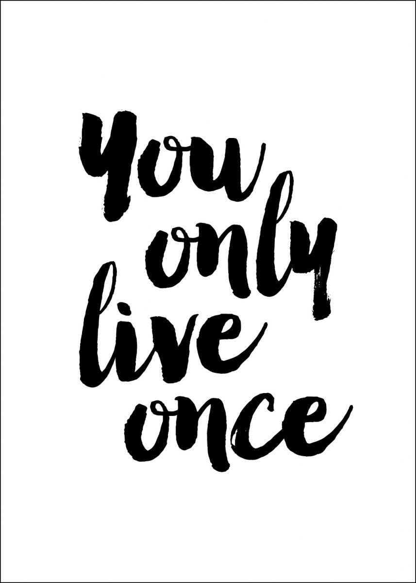 Hier You Only Live Once Poster Kaufen Bgastoreat 9696