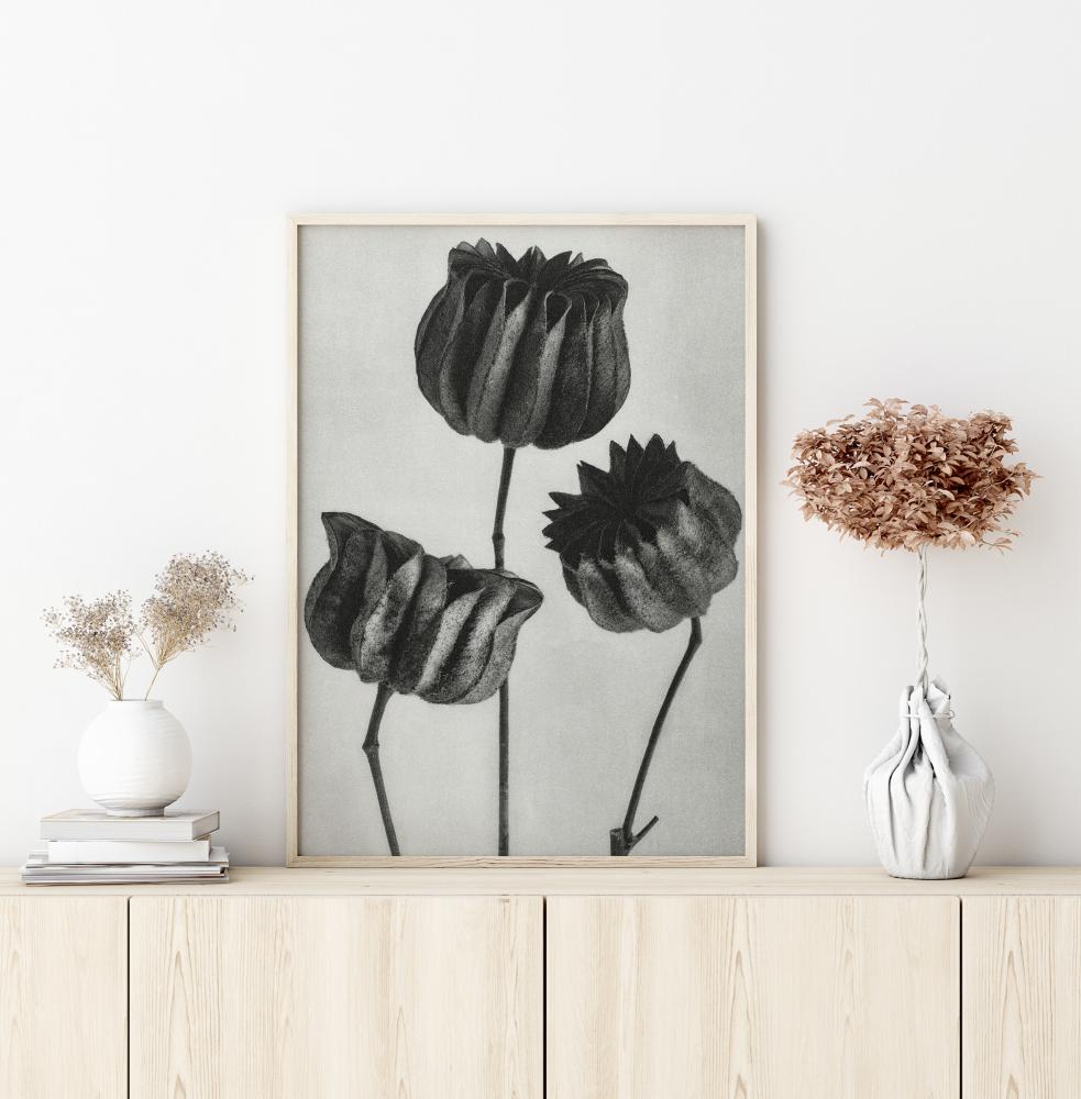 Bildverkstad Grey Flower V Poster