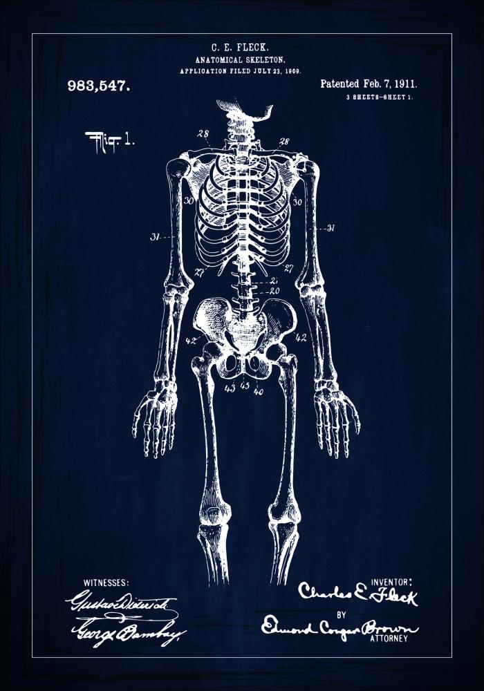 Bildverkstad Patentzeichnung - Anatomisches Skelett I - Blau Poster