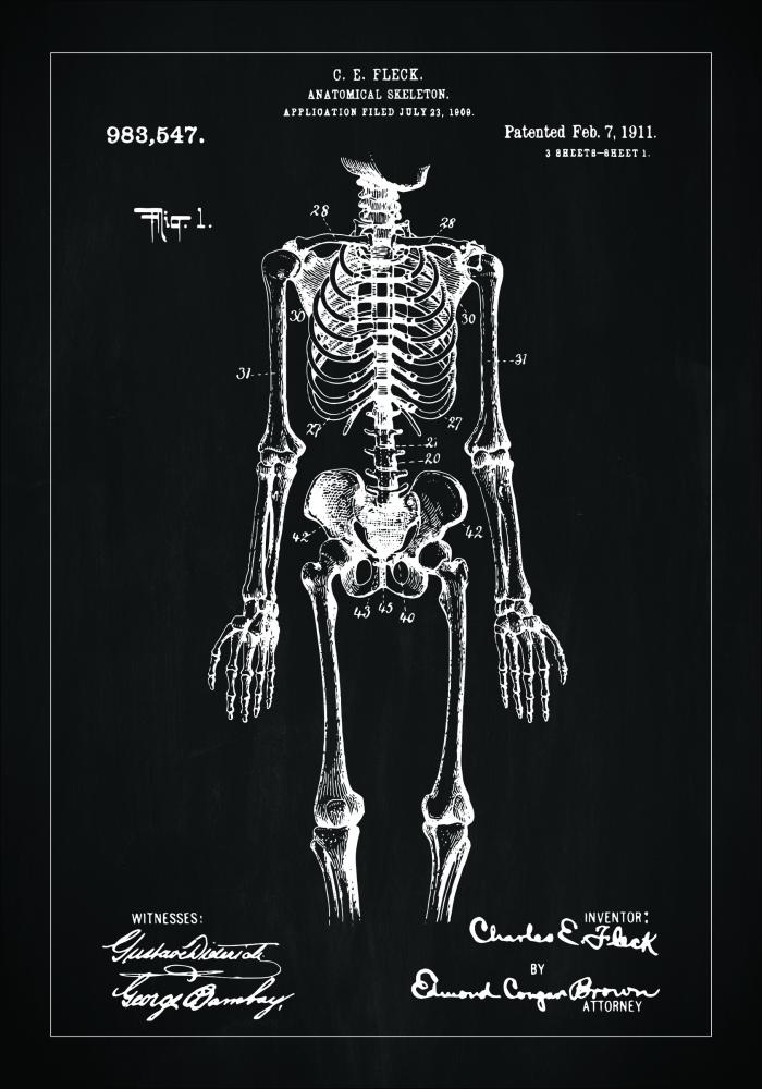 Bildverkstad Patentzeichnung - Anatomisches Skelett I - Schwarz Poster