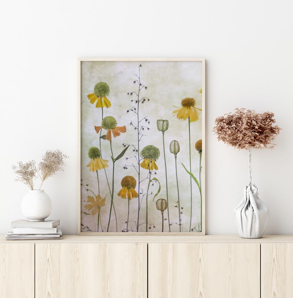 Bildverkstad Helenium Poster