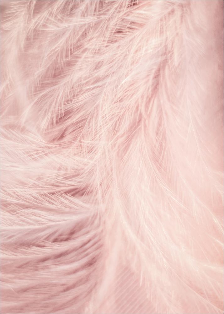 Bildverkstad Pink Feathers Poster