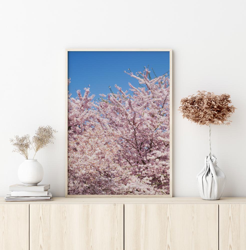 Bildverkstad Cherry-Tree Poster