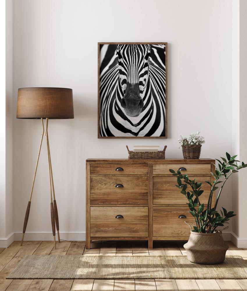 Bildverkstad Zebra Poster