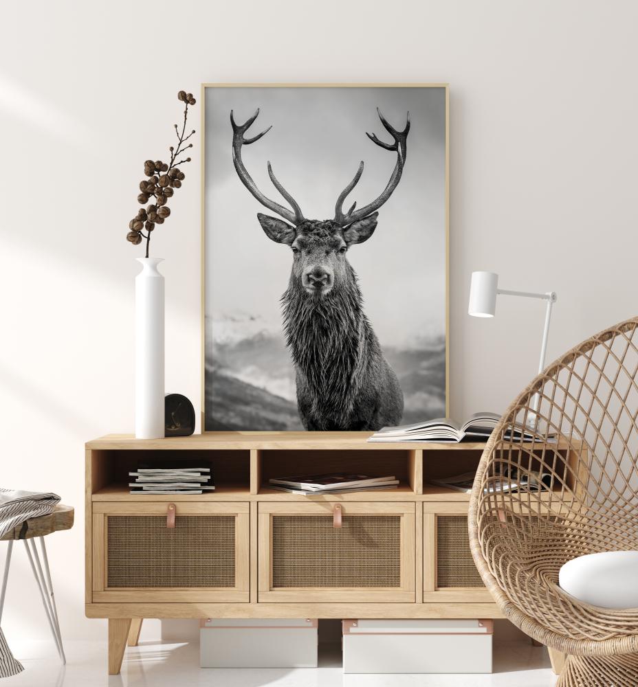 Bildverkstad Curious Deer Poster