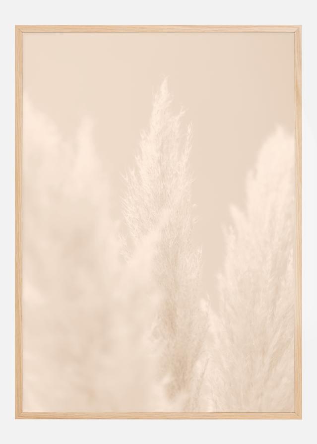 Bildverkstad Pampas Grass II Poster