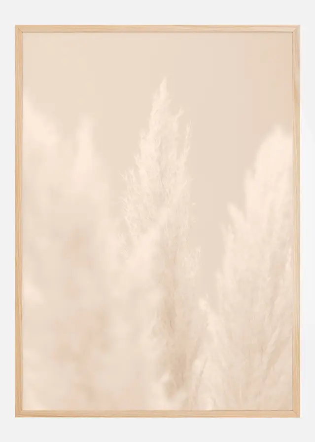 Bildverkstad Pampas Grass II Poster