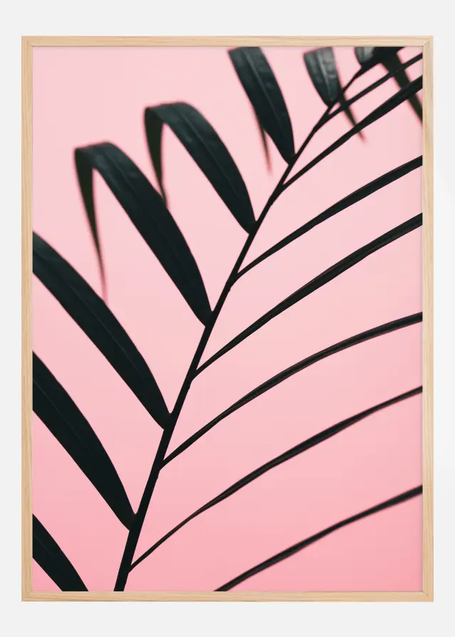 Bildverkstad Graphic palm leaf Poster