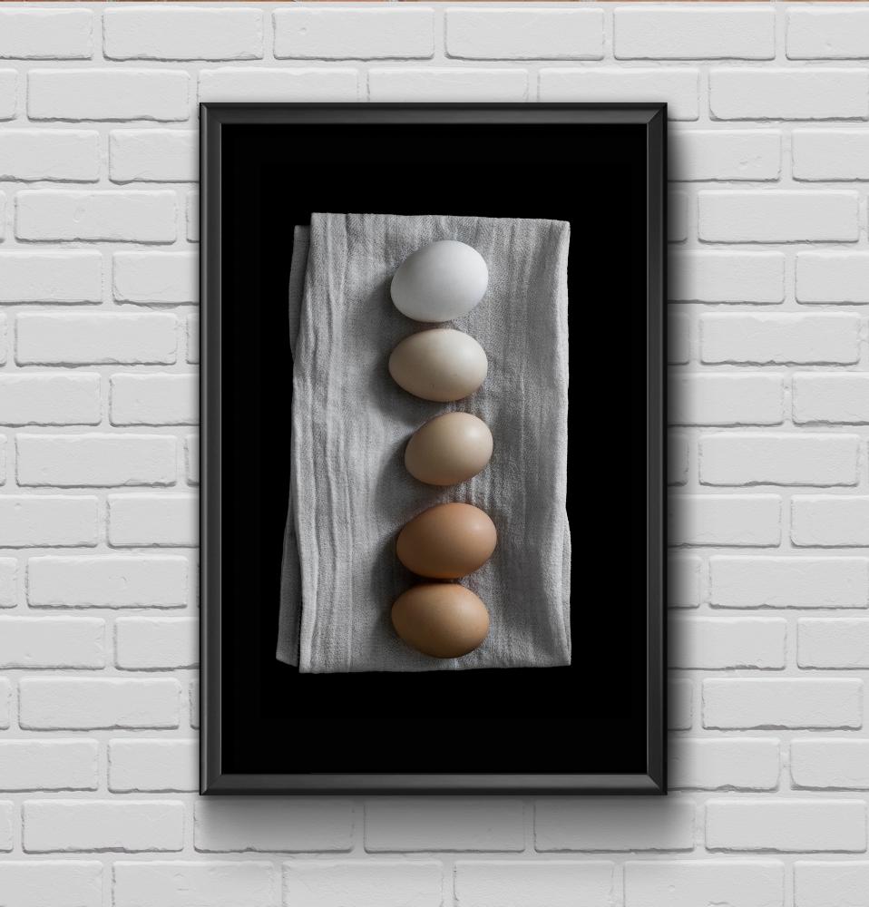 Bildverkstad Farm eggs Poster