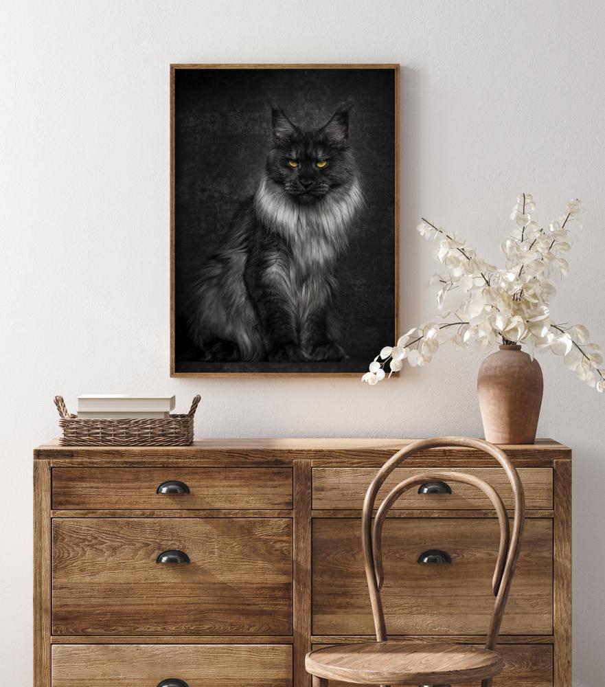 Bildverkstad Maincoon Poster