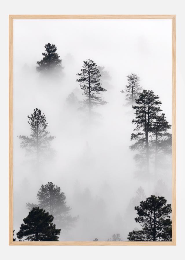 Bildverkstad Fogy Forest Poster