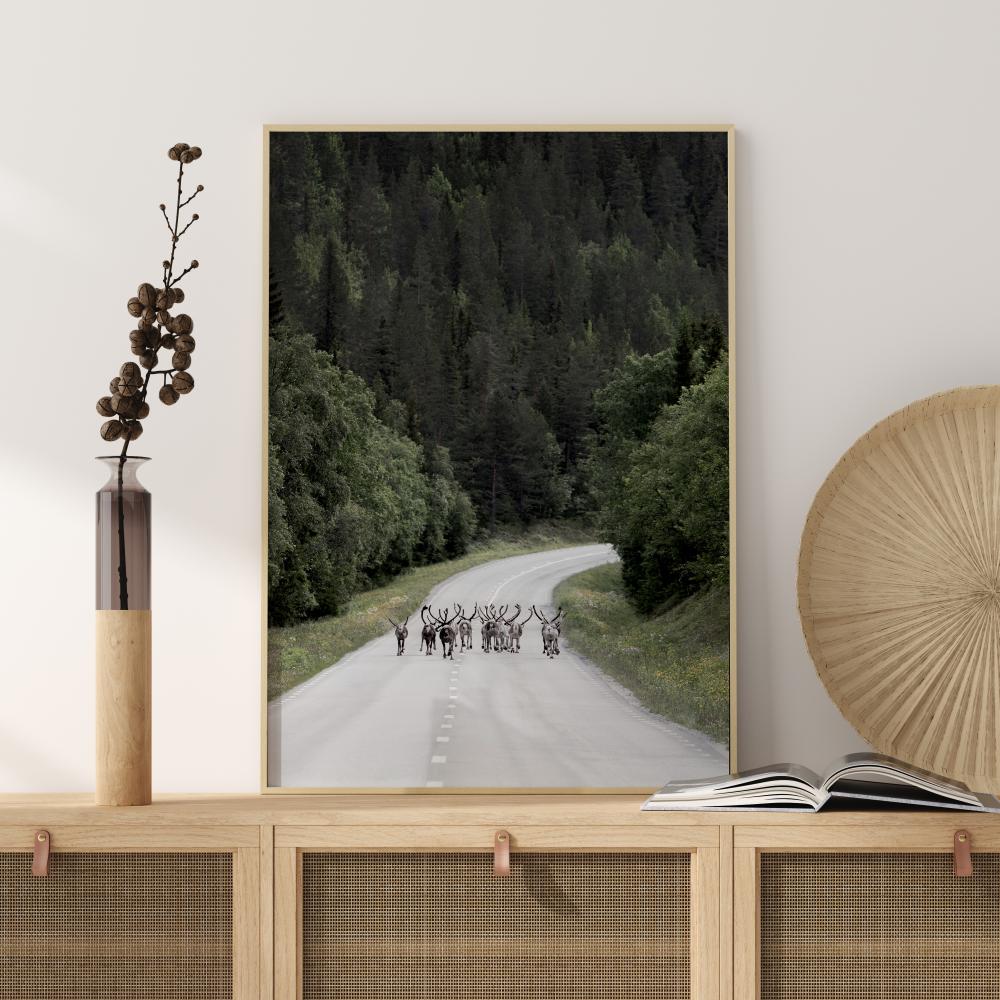 Bildverkstad Reindeer road Poster