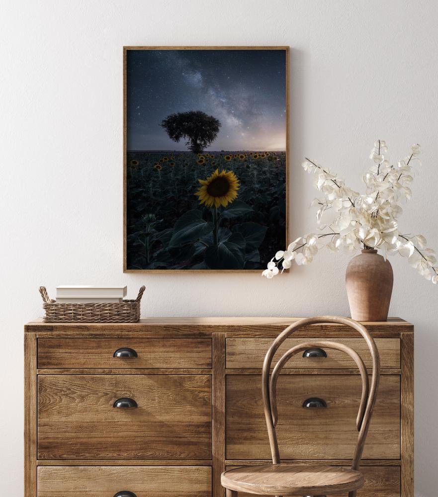 Bildverkstad Starsflowers Poster