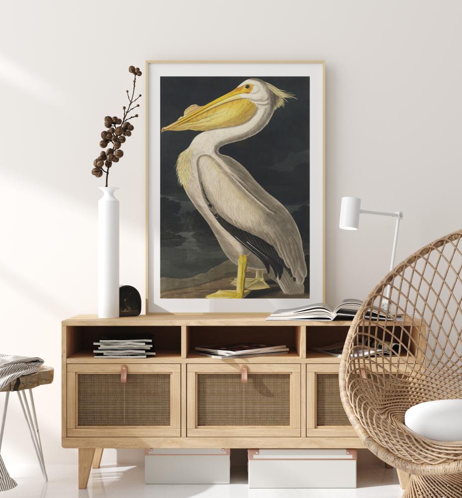 Bildverkstad American White Pelican Poster