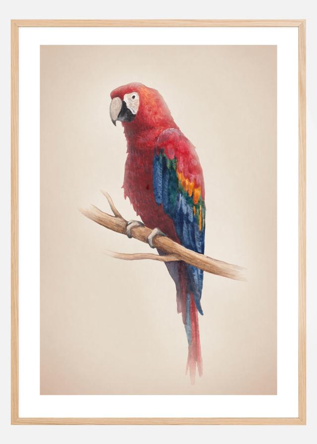 Bildverkstad Tropical Parrot Poster