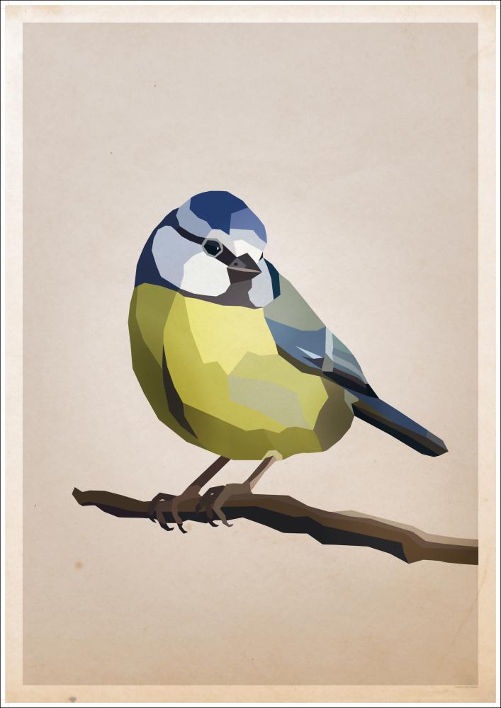 Bildverkstad Blue tit Poster