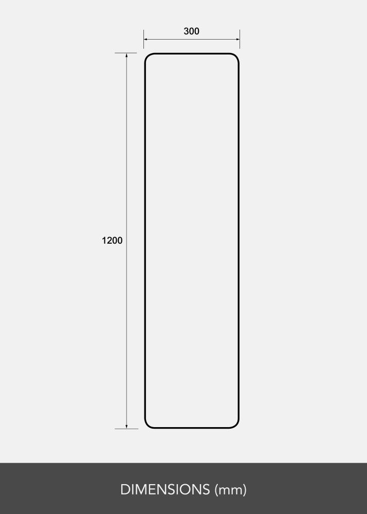 Artlink Spiegel Rectangle L 30x120 cm