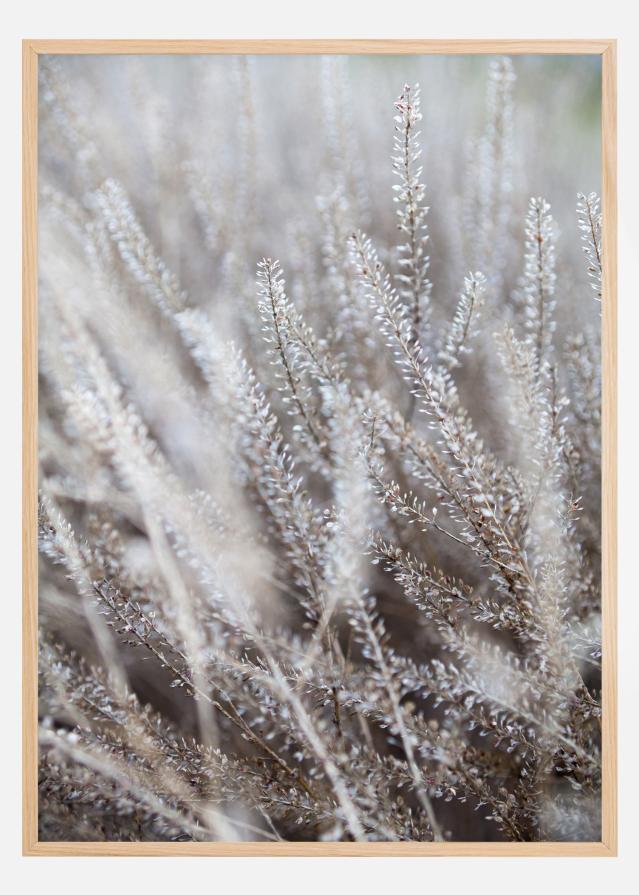 Bildverkstad Frosty Grass Poster