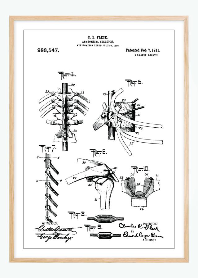 Bildverkstad Patentzeichnung - Anatomisches Skelett III Poster