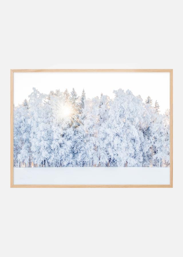 Bildverkstad Winter light Poster