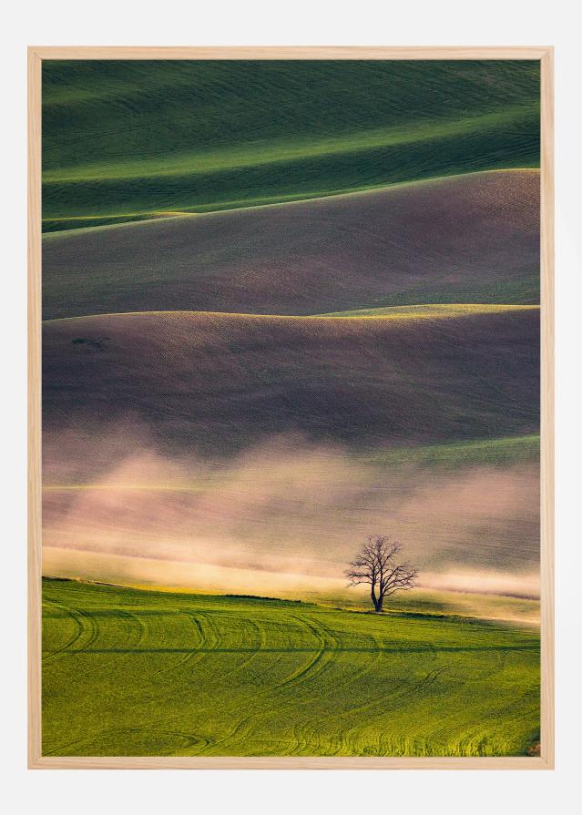 Bildverkstad Sunset in Palouse Poster